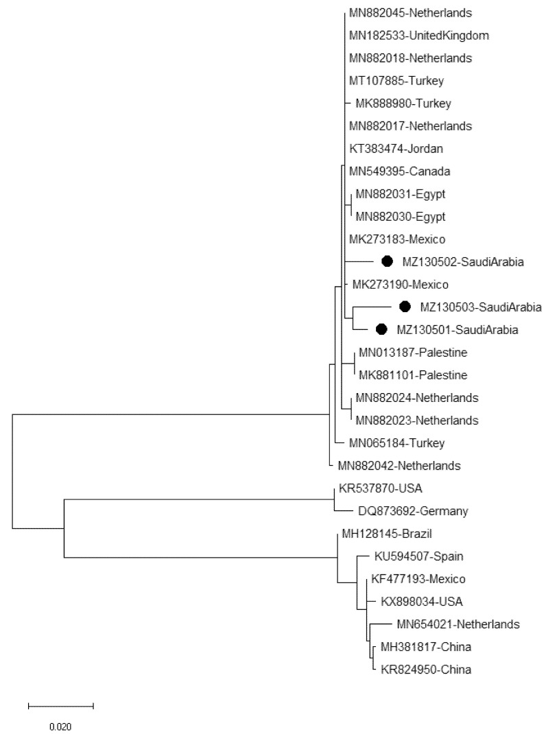Figure 4