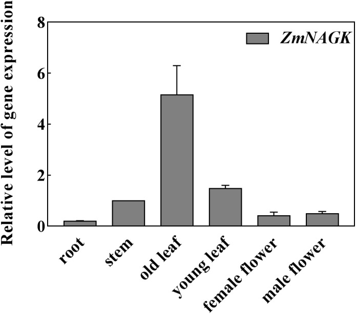 FIGURE 2