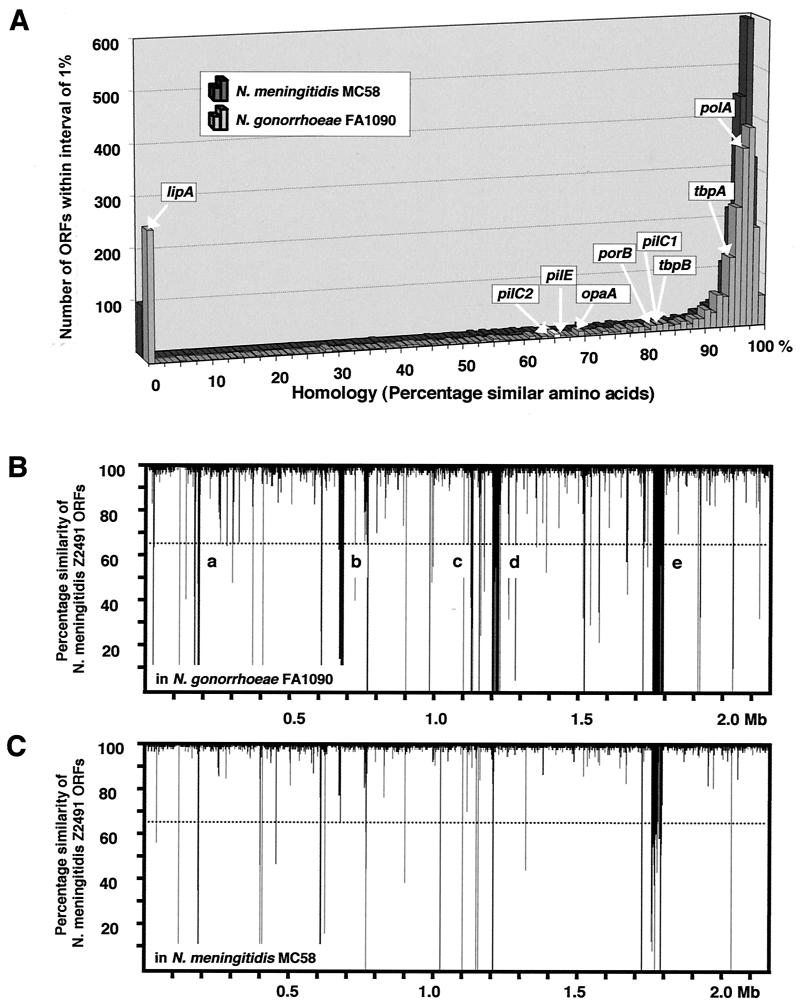 FIG. 1.