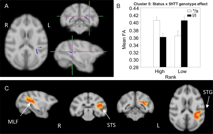 Figure 4.