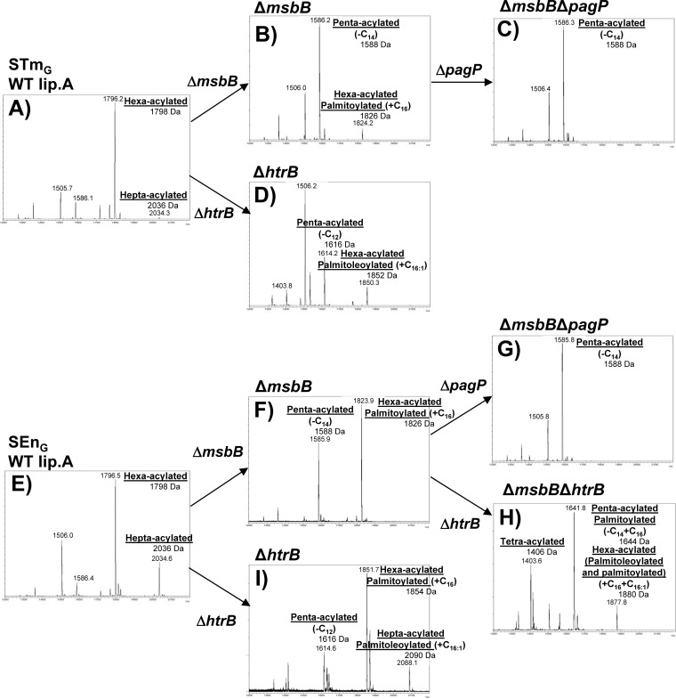 FIG 2