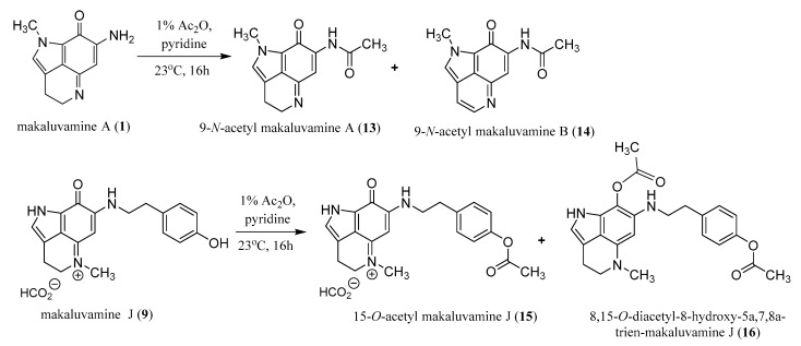 Scheme 2