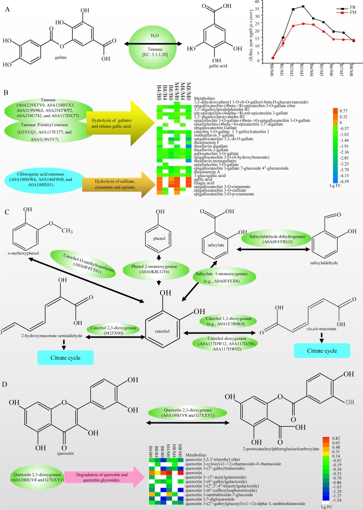 FIG 5