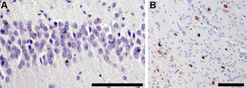 FIGURE 5: