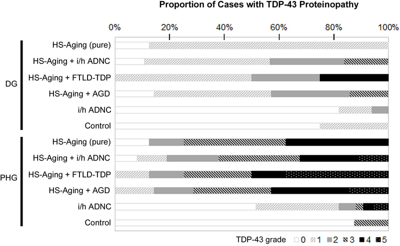 FIGURE 6: