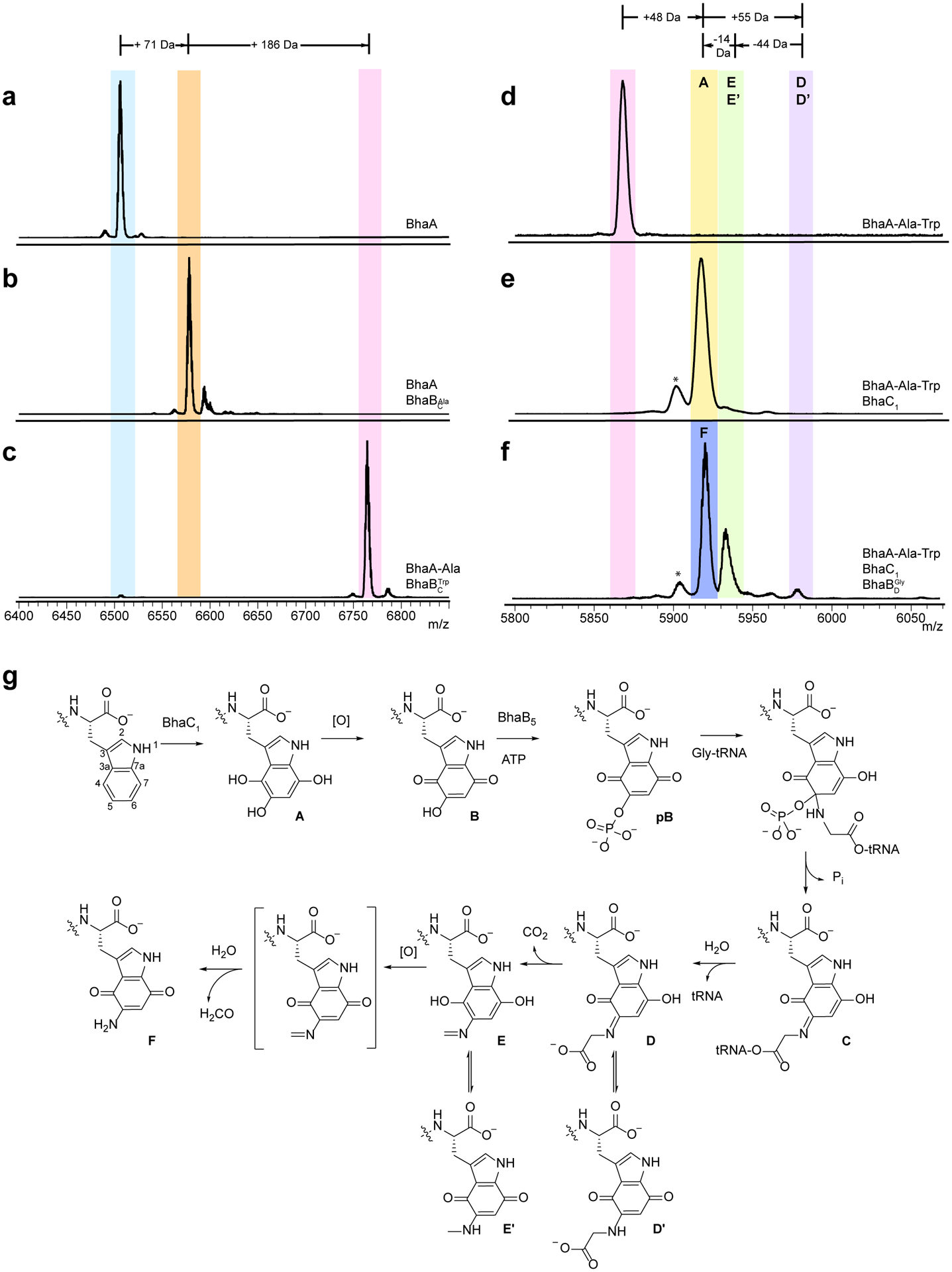 Fig. 3.