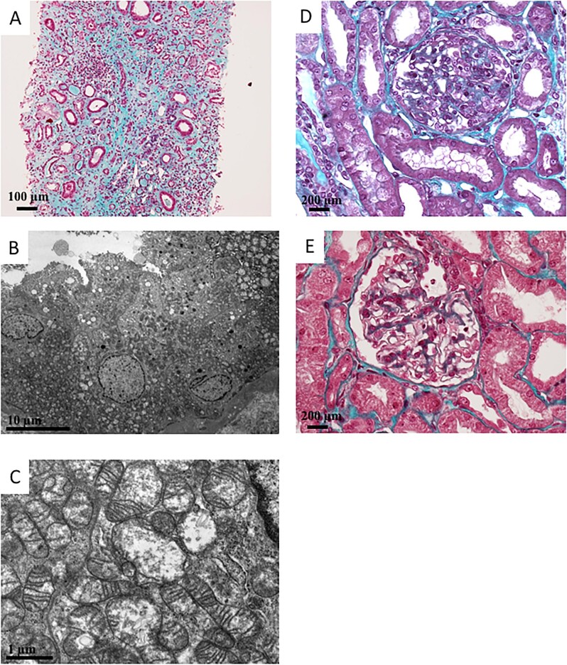 Figure 2: