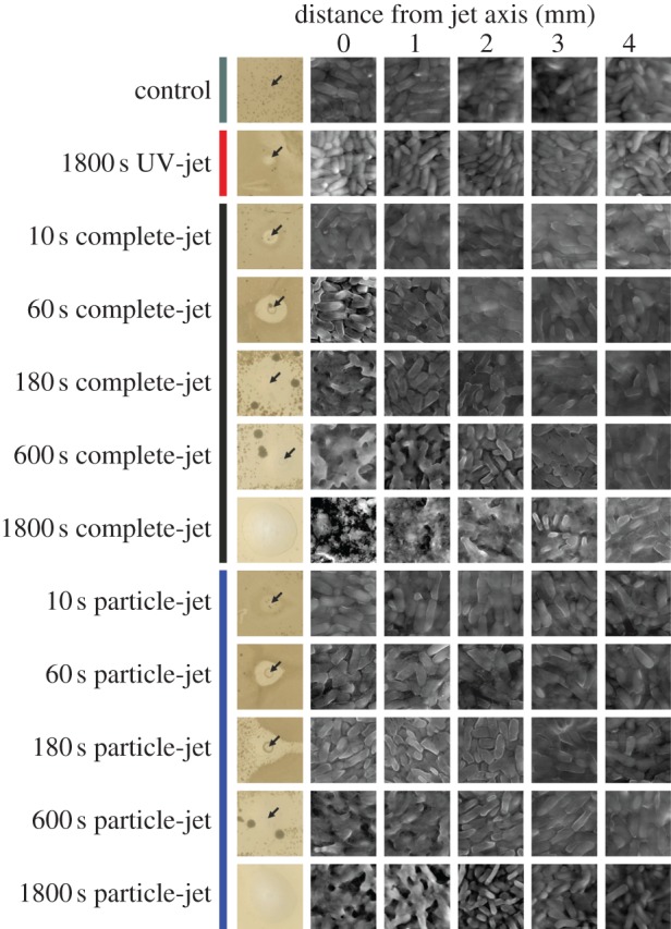 Figure 2.