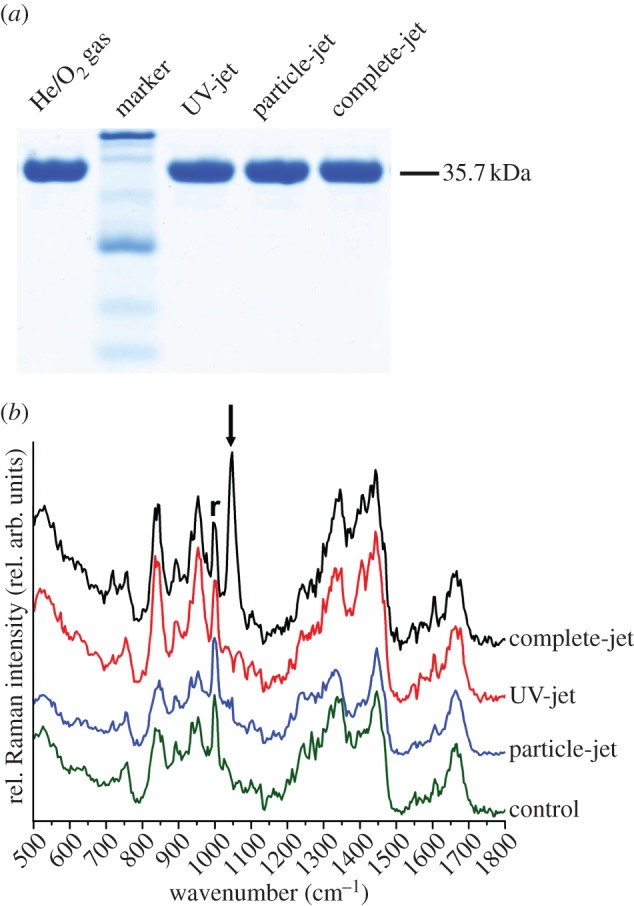 Figure 4.