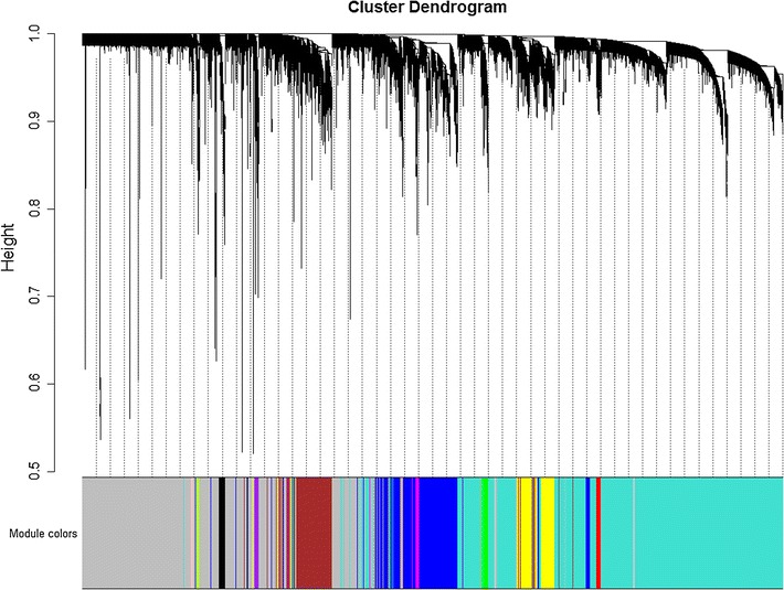 Fig. 1