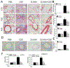 Fig 6.