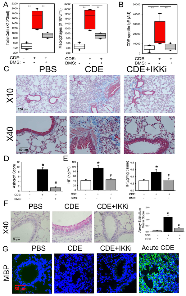 Fig 3.