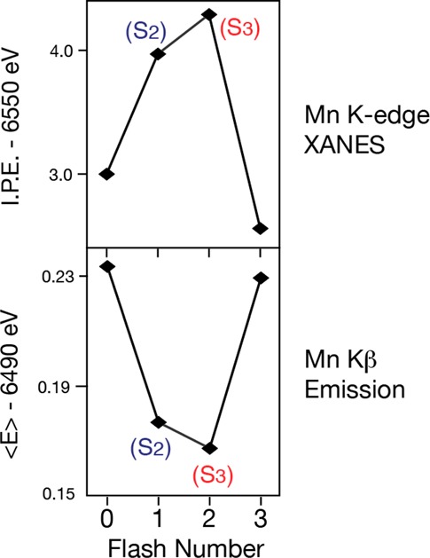 Figure 25