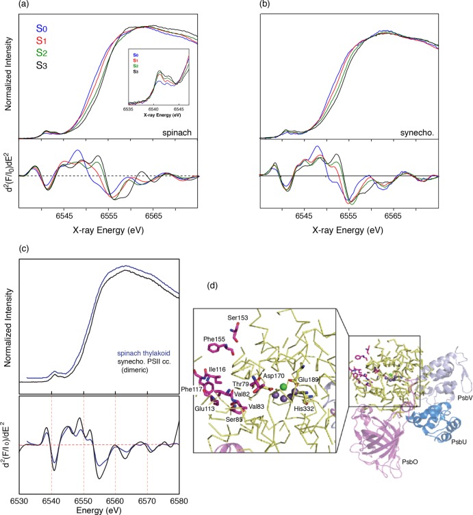 Figure 23