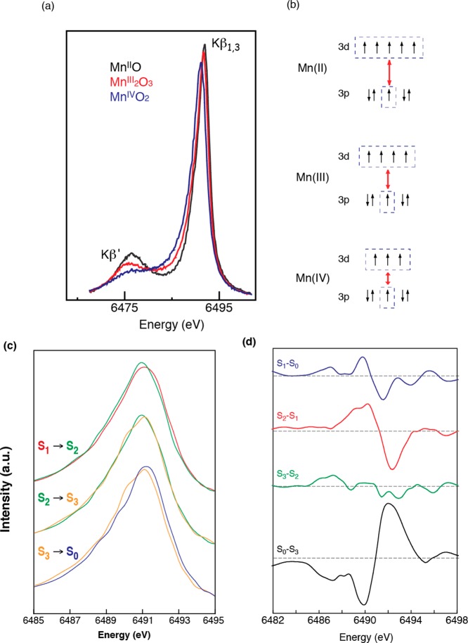 Figure 24