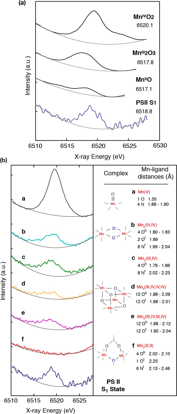 Figure 30