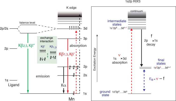 Figure 22