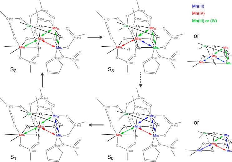 Figure 14