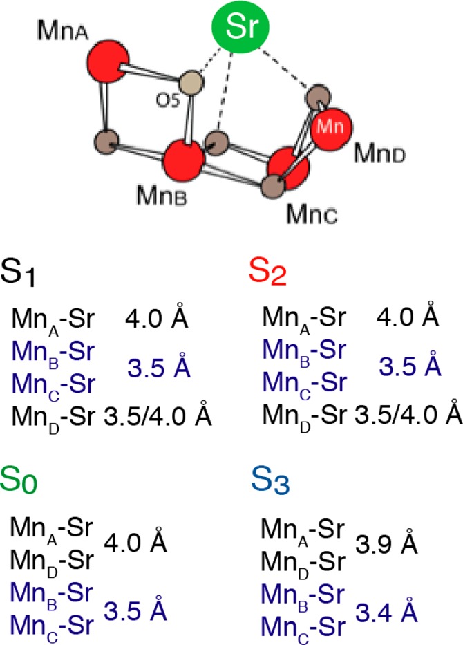 Figure 19