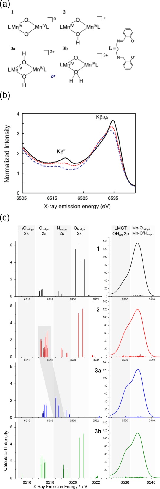 Figure 31