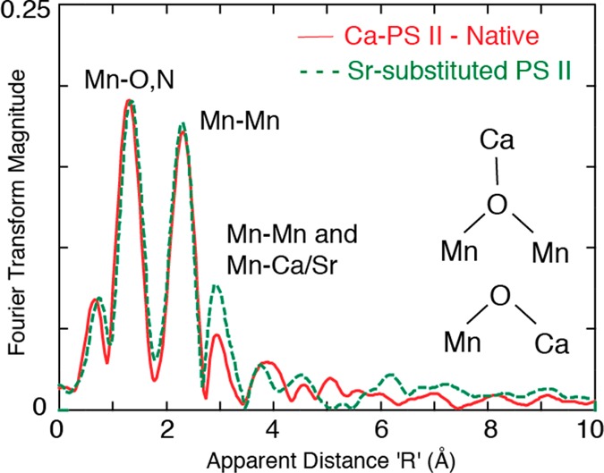 Figure 15