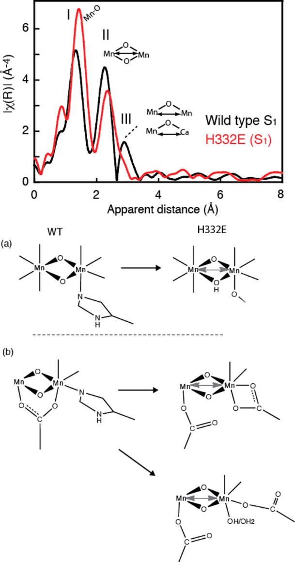 Figure 20