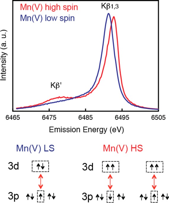 Figure 29