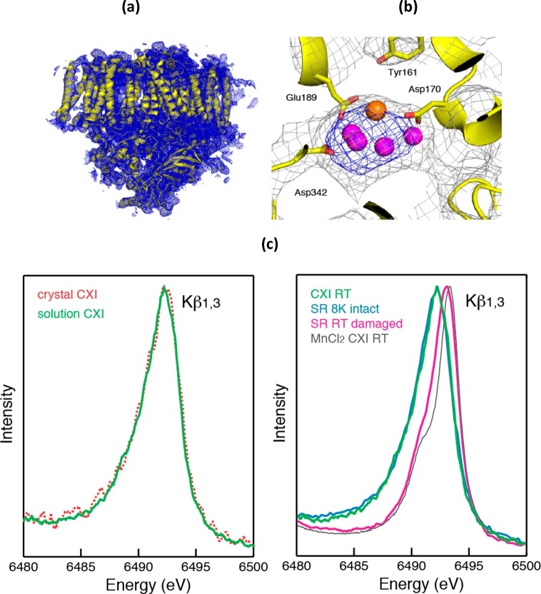 Figure 34