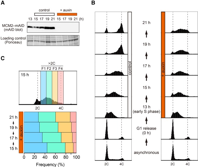 Figure 2.