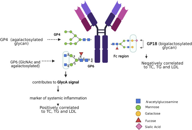 FIGURE 4