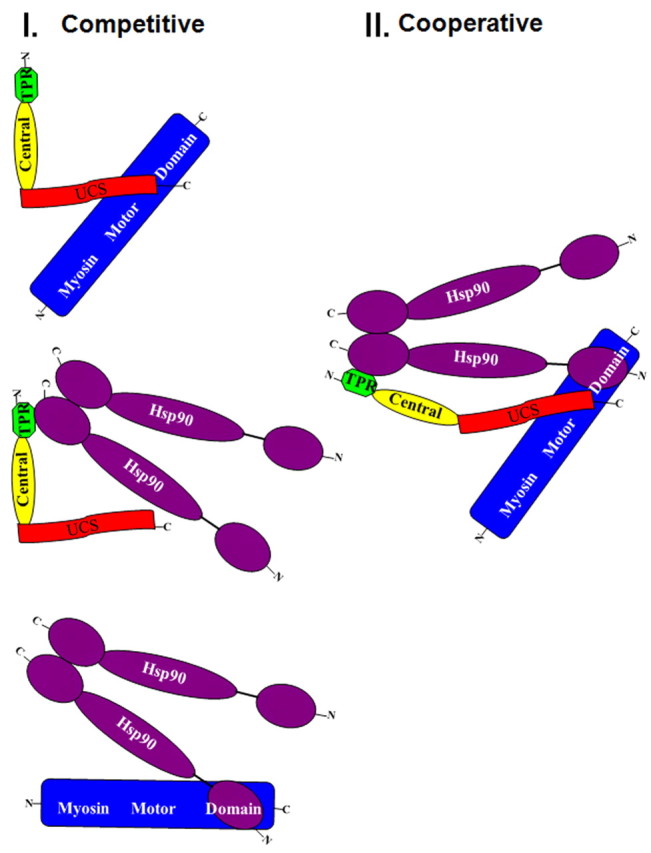 Fig. 5.