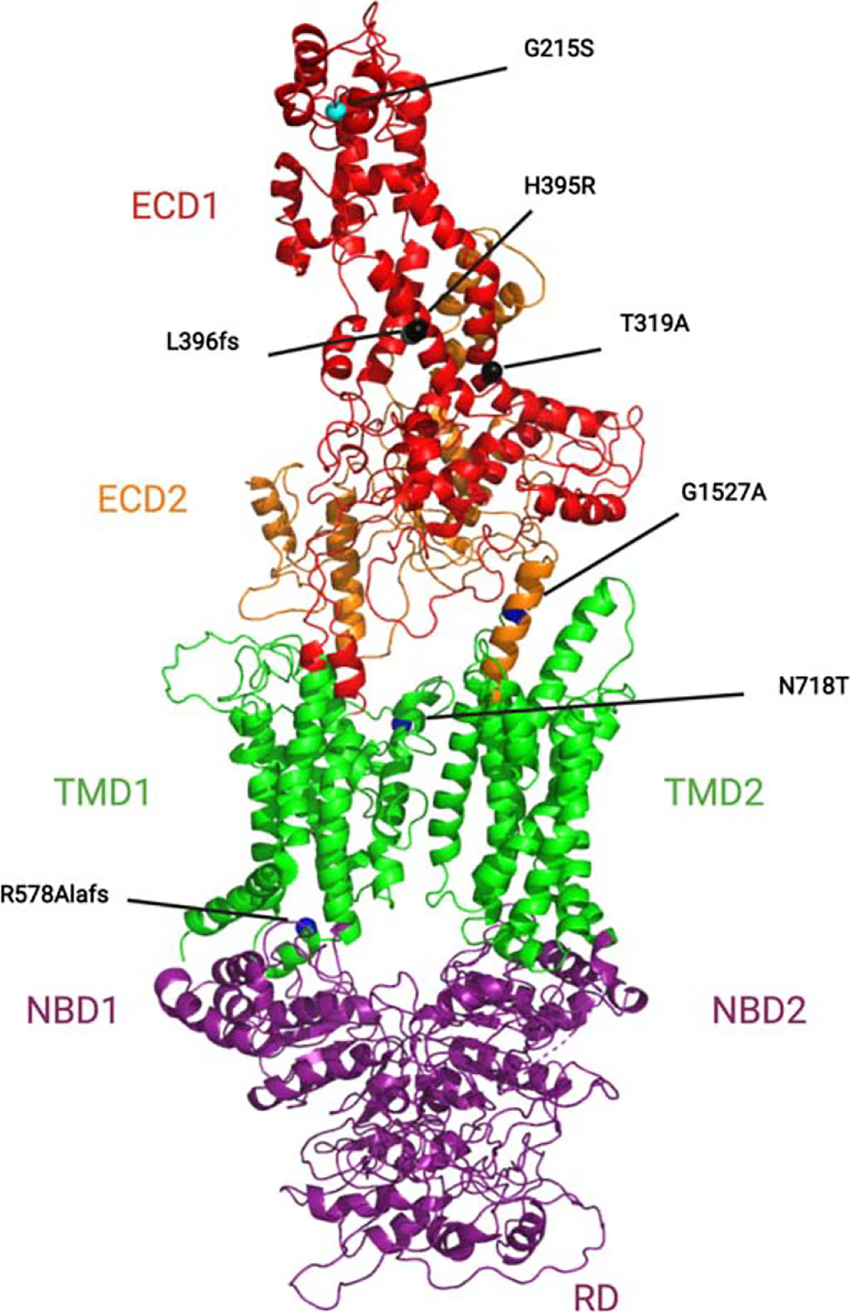 Fig. 2.