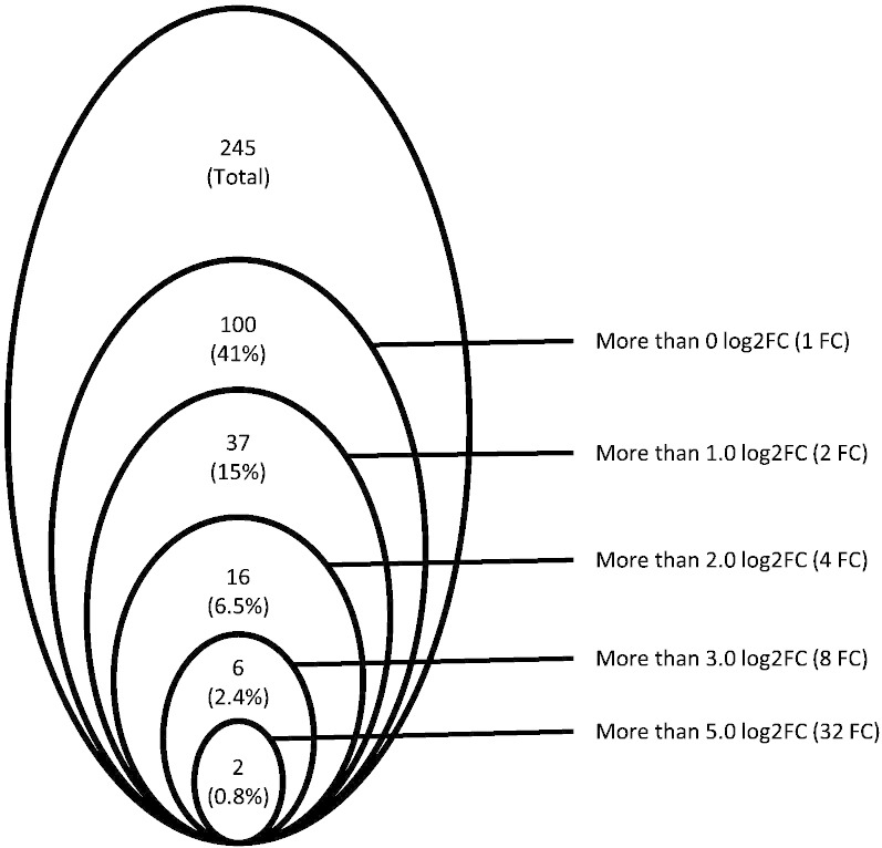 Fig. 5