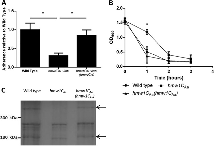 FIG 4 