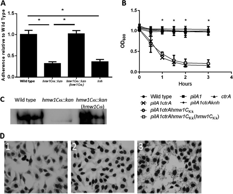 FIG 2 