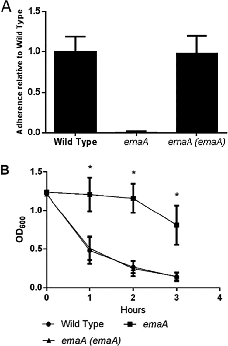 FIG 5 