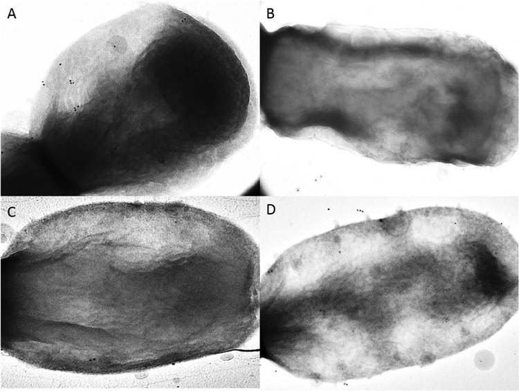 FIG 3 