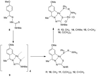 Scheme 4