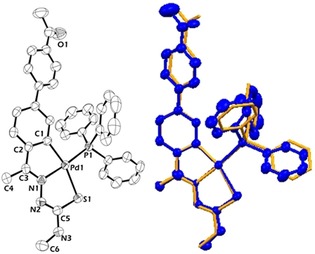 Figure 11