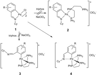 Scheme 2