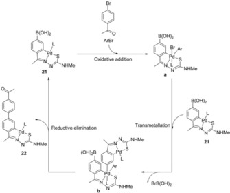 Scheme 6