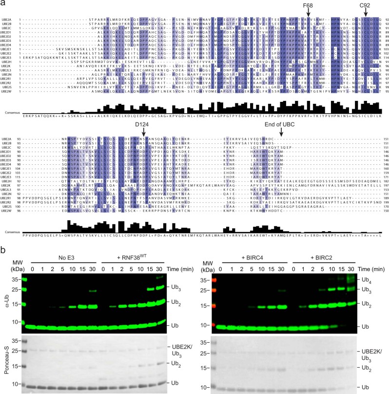 Extended Data Fig. 1