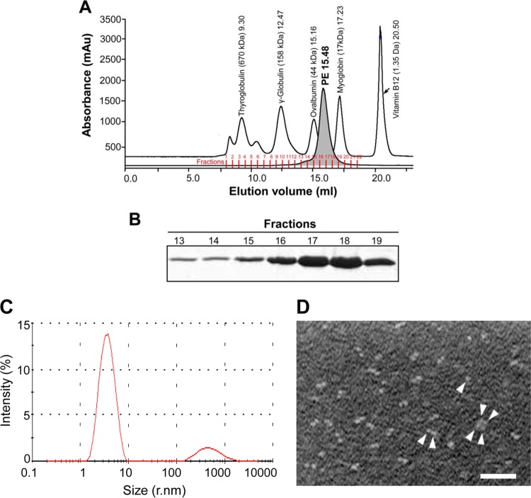 Fig 1