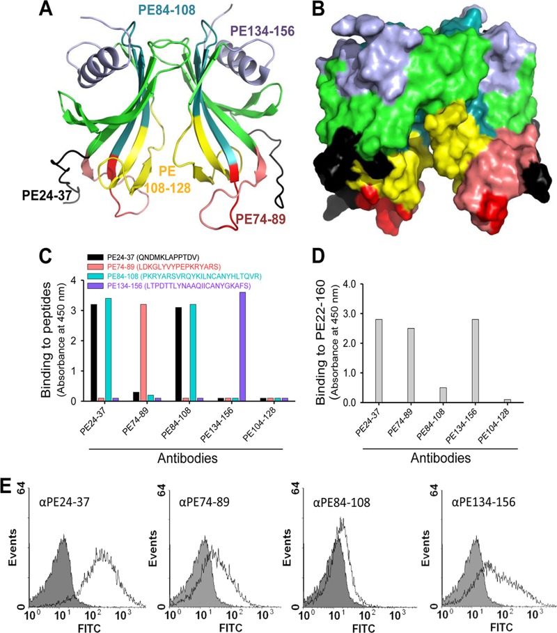 Fig 8