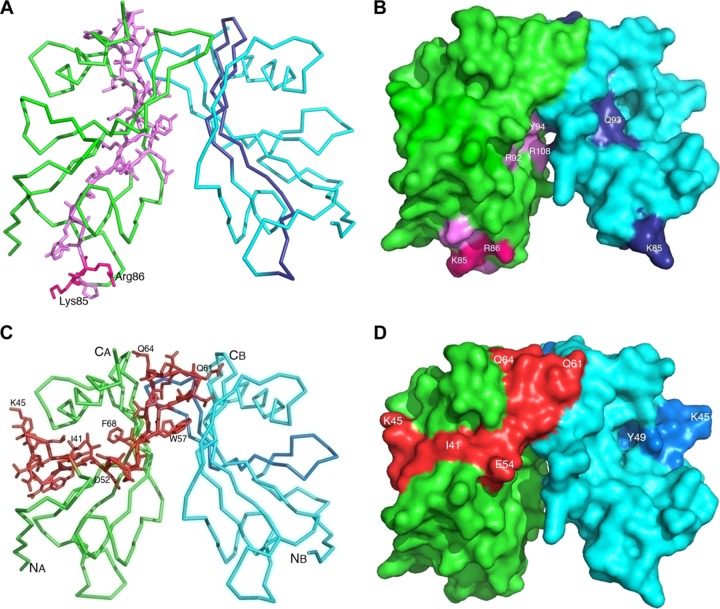 Fig 5