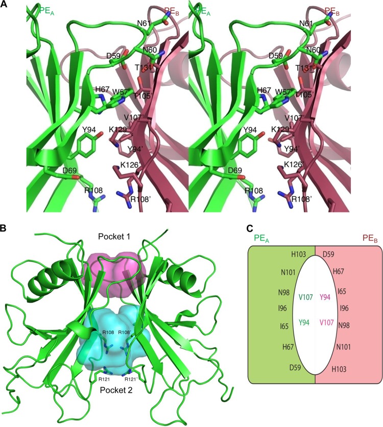 Fig 4