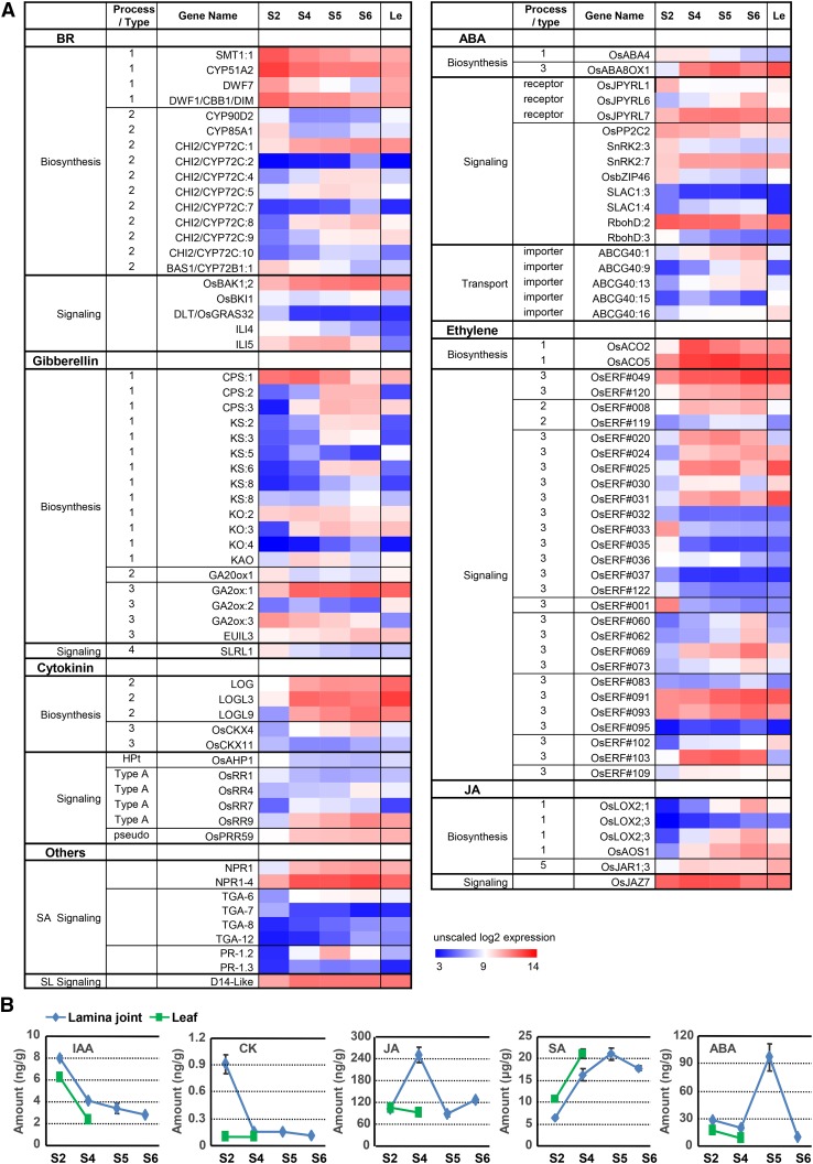 Figure 6.