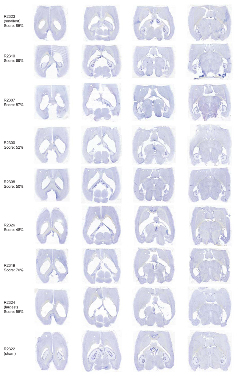 Extended Data Figure 3