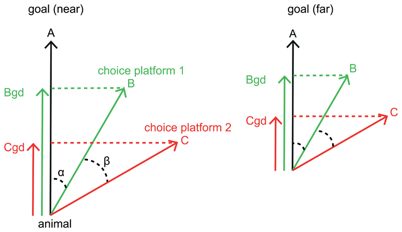 Extended Data Figure 6