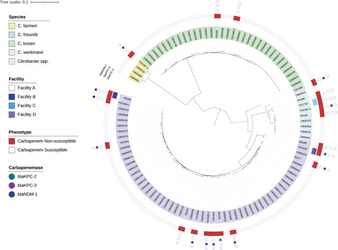 FIG 2